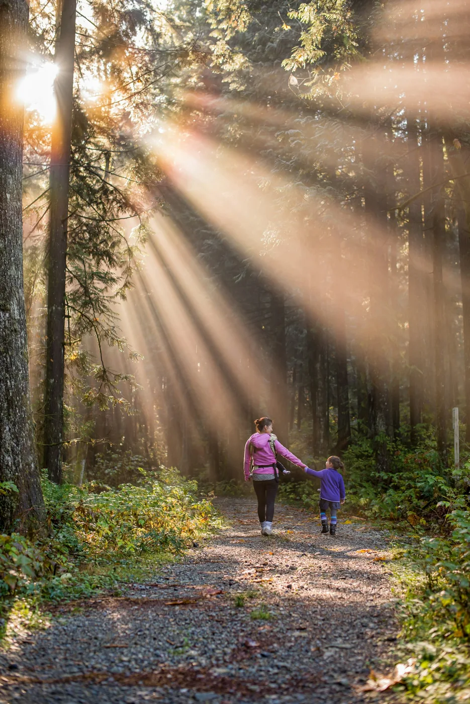 Travel Stroller or Carrier? Choose for the Route, the Child, and the Adults